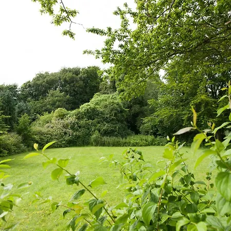 Kleine Tanne Grömitz